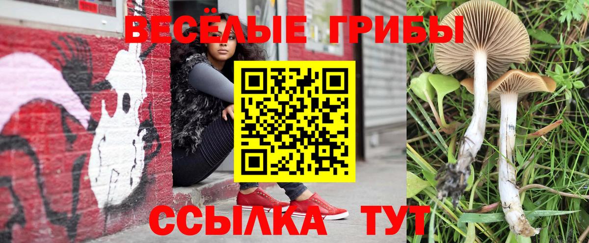 Псилоцибиновые грибы мицелий  Вход с VPN  Кашира 